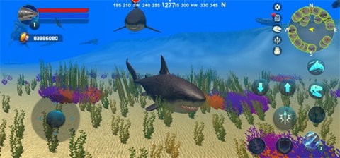 巨齿鲨模拟器游戏下载