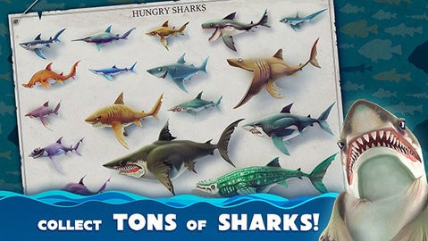 饥饿鲨世界2023无限珍珠钻石金币版