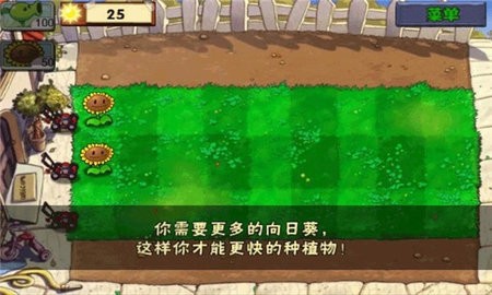 植物大战僵尸一代原版