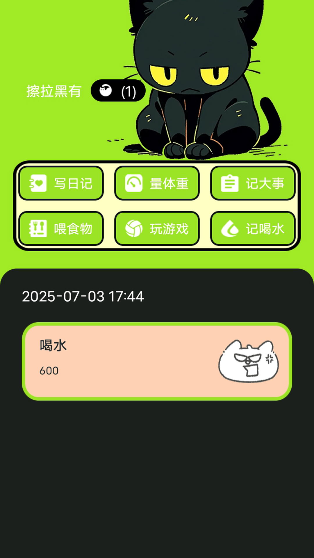 村庄叮叮猫