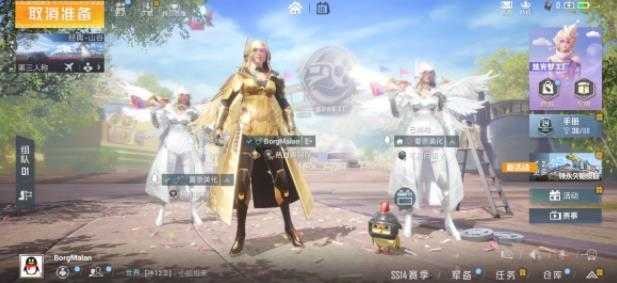 蓝龙美化包
