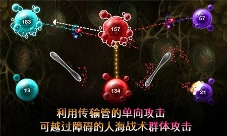 繁殖战争2官方版