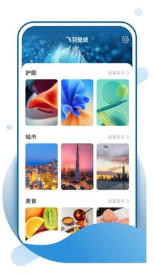 飞羽壁纸