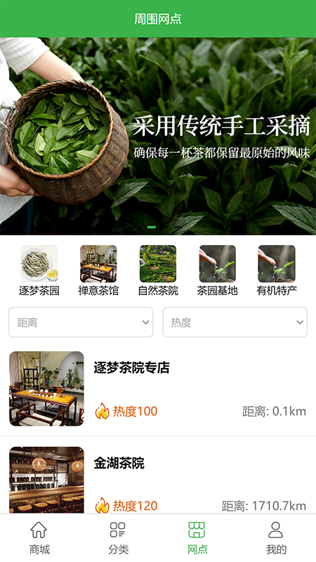 逐梦茶园