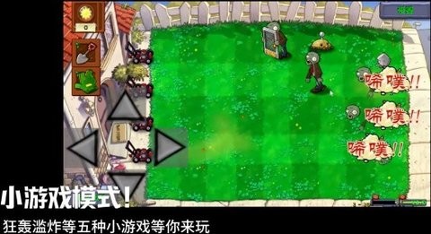 植物大战僵尸群系版