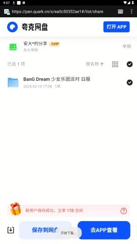 安大师xapk