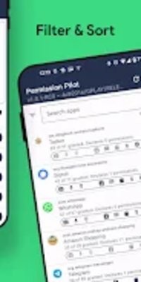 Permission Pilot