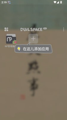 DualSpace Pro