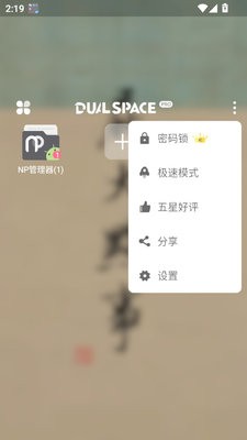 DualSpace Pro