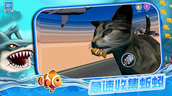 这一关稳赢