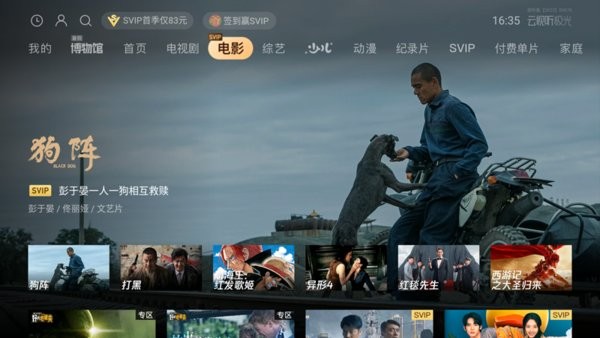 云视听极光