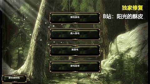 阿尔龙剑影汉化版