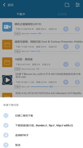种子播放器