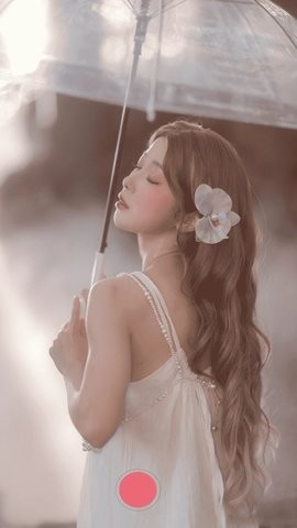 歪点点