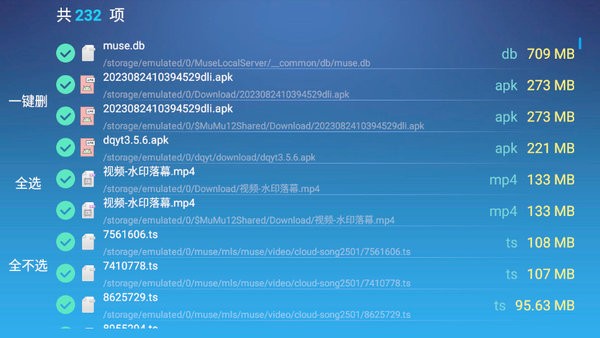 电视清理大师
