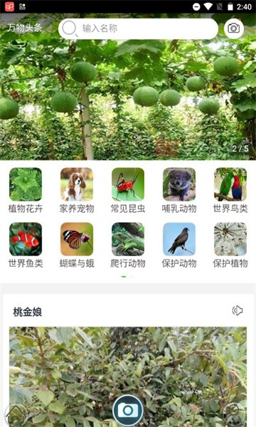 识万物扫一扫