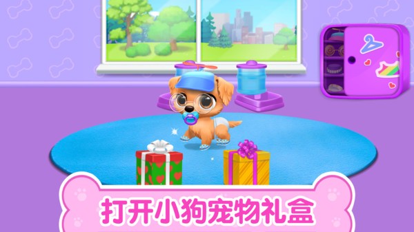 猫咪生活日记