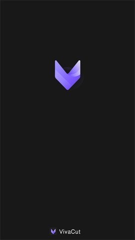 VivaCut破解版