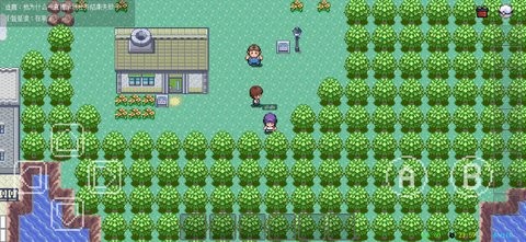 PocketDestiny