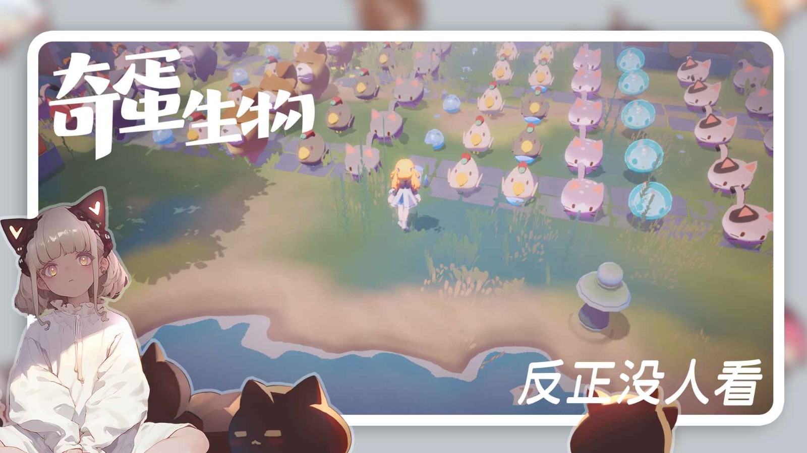奇蛋生物b服