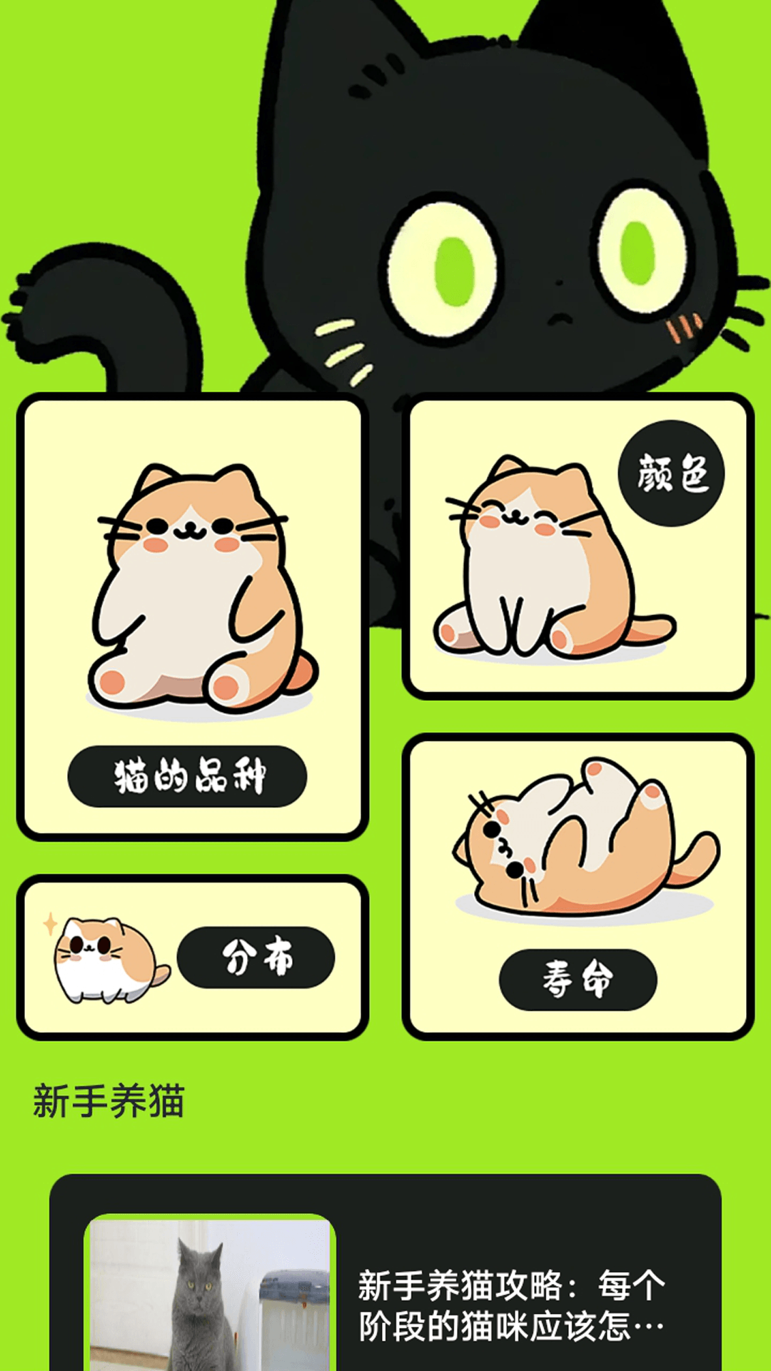 村庄叮叮猫