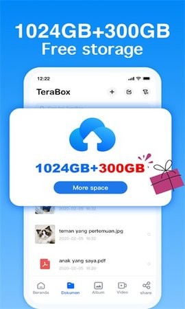 TeraBox网盘