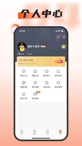 我奥篮球