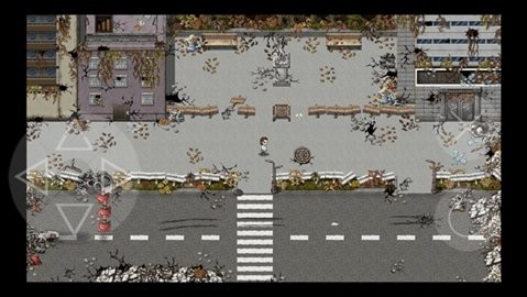 残世界的鸢尾花