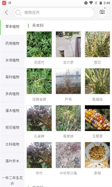 识万物扫一扫