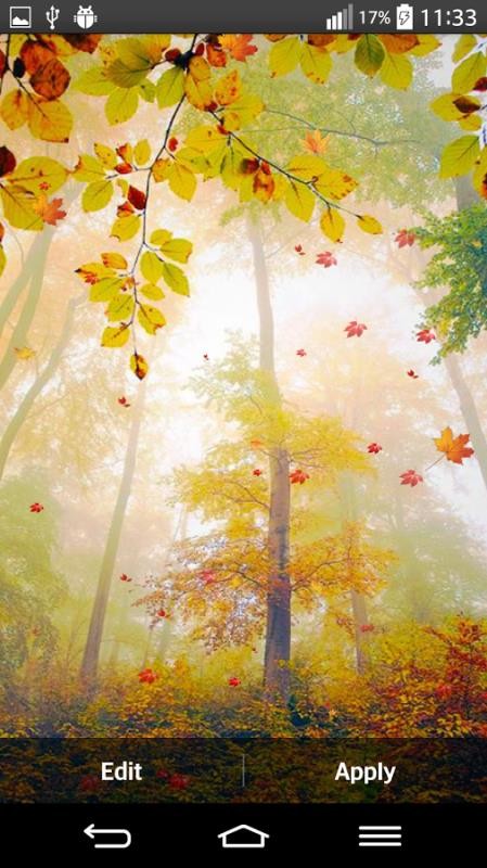 Autumn