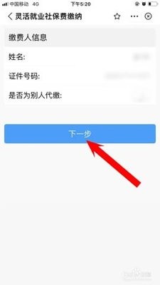 河南地税