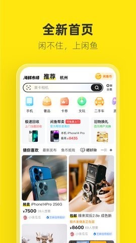 闲鱼iqoo12定制版