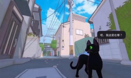 小猫咪大城市