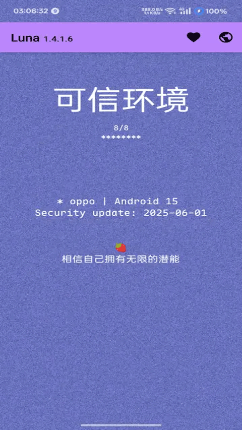 Luna环境检测工具