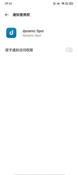 dynamic Spot中文版