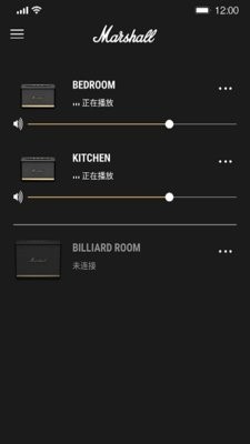 Marshall Bluetooth