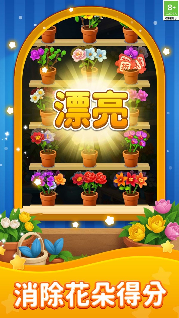 爆爽整理师