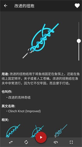 Knots3D破解版