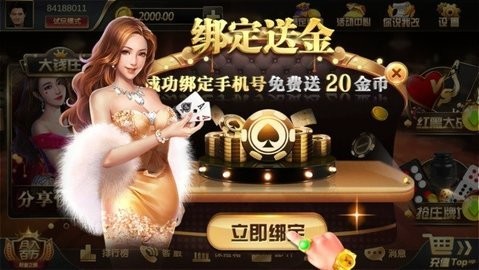 大钱庄游戏